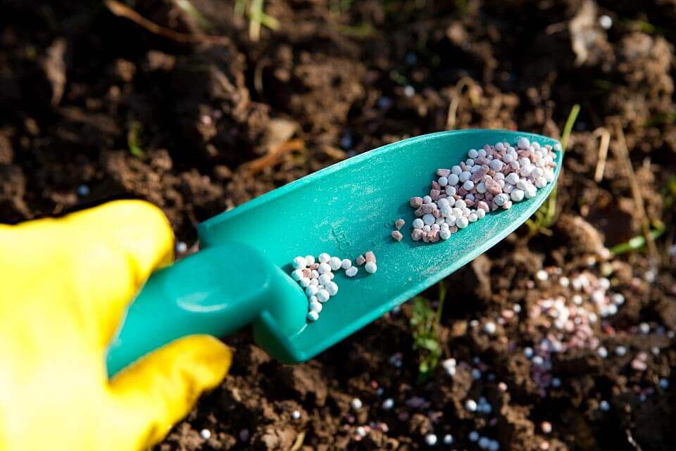 Agentes quelantes: una fuerza clave para una producción agrícola sostenible y eficiente