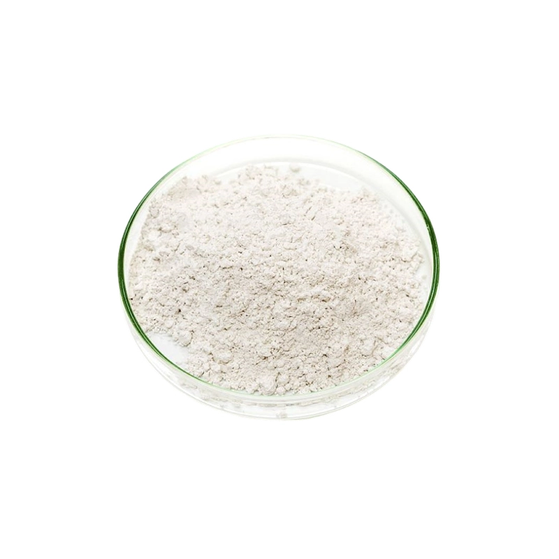 Ácido L aspártico (ácido L aspártico)