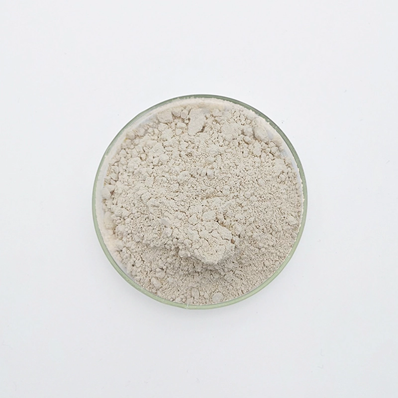 WN-721 Retardador de yeso (WN-721)